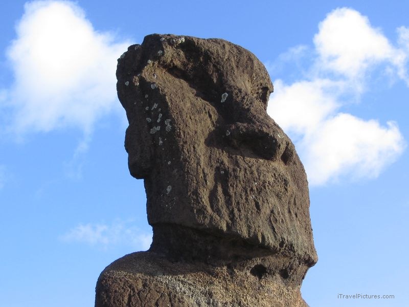 Tahai maoi head
